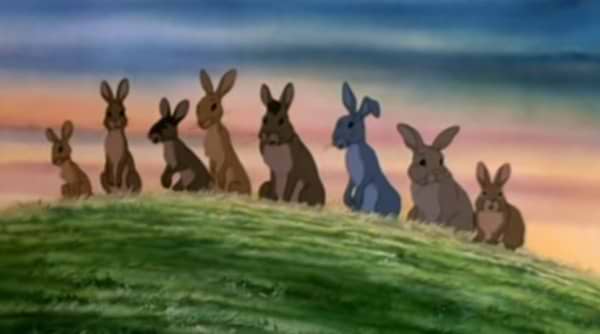 Watership Down: Bright Eyes