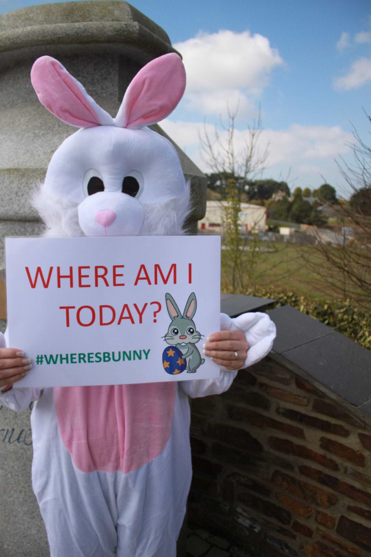 Day Two ... #WheresBunny