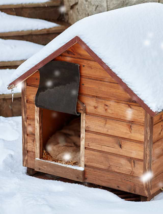Animal Housing