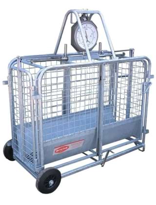 Weighing Crates