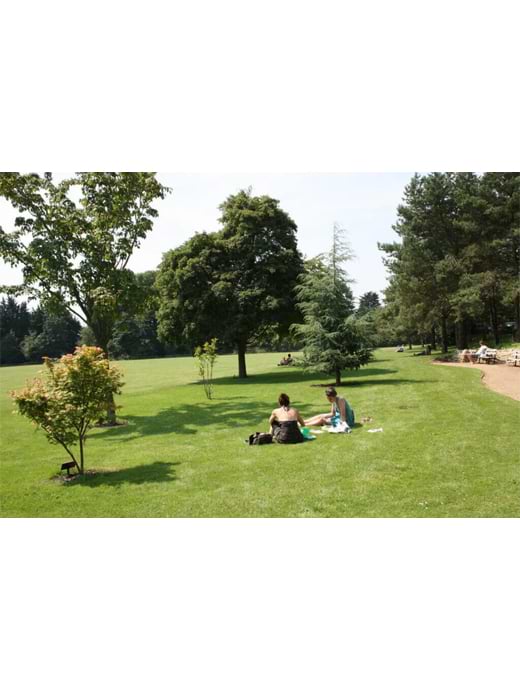 Suburban Lawn Seed With Ryegrass 10kg