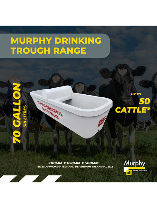 Murphy Concrete Concrete Trough 70 Gallon