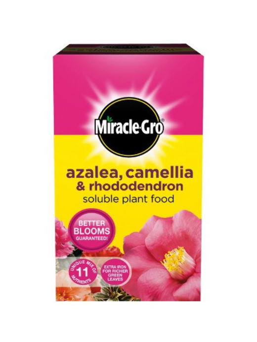 MIRACLE GRO ERICACEOUS PLANT FOOD 500G