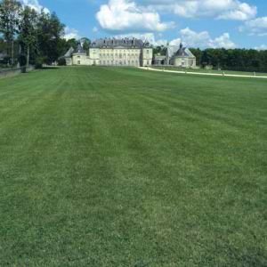 Greensward Lawn Seed No Ryegrass 10kg