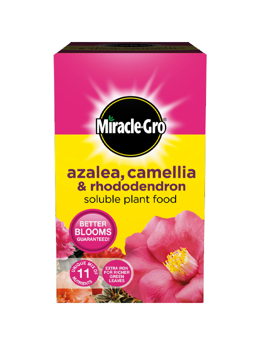 MIRACLE-GRO AZALEA, CAMELLIA & RHODODENDRON SOLUBLE PLANT FOOD 1KG