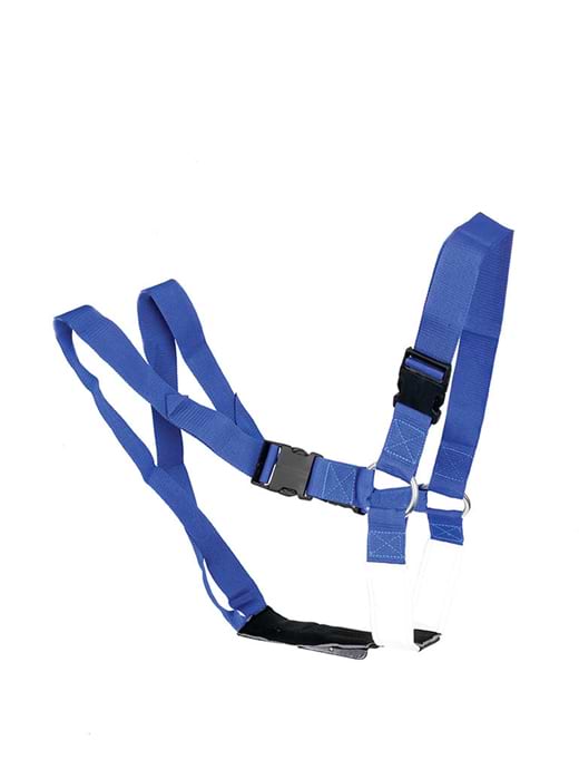 Agrihealth Ram Harness Super Blue