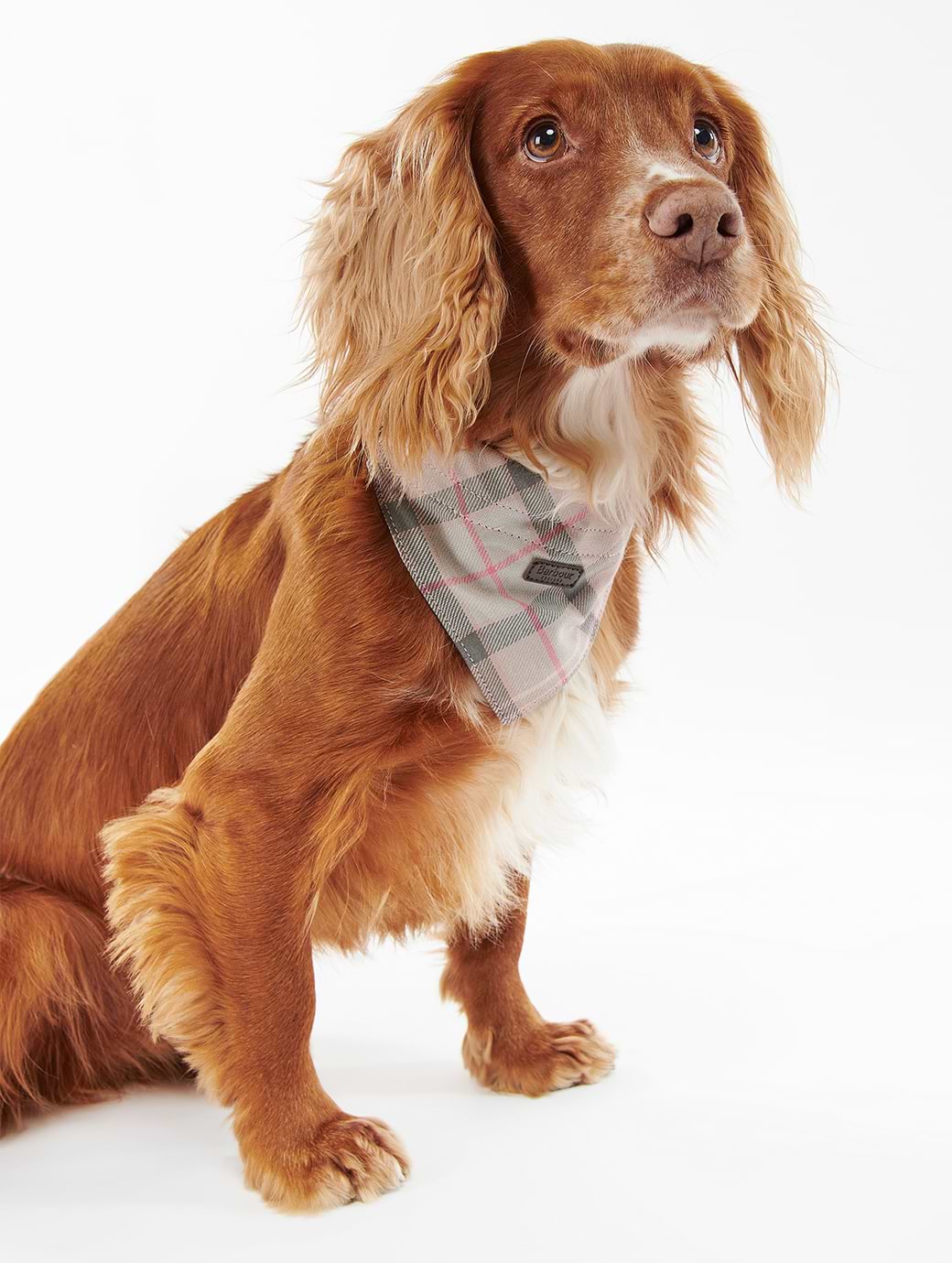 *AW25*Barbour Tartan Dog Bandana Taupe/Pink Tartan *DES REQ 7/5