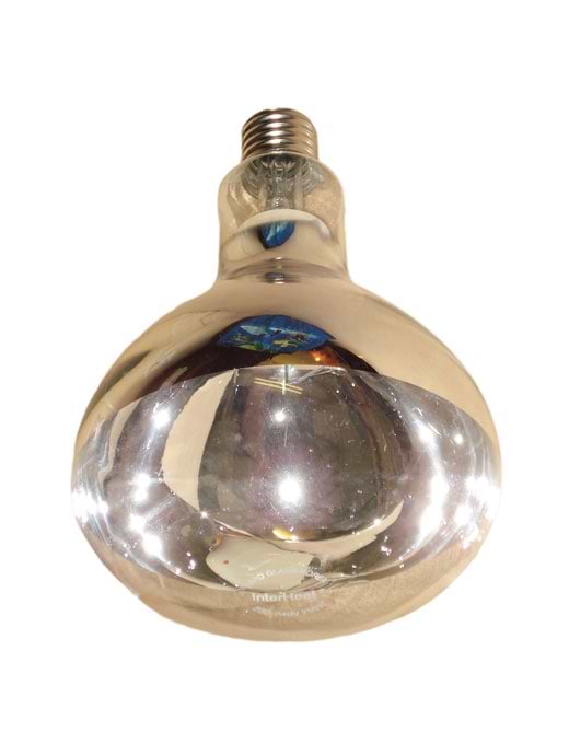 Intelec Hard Glass Infra-Red Clear Heat Bulb 150w
