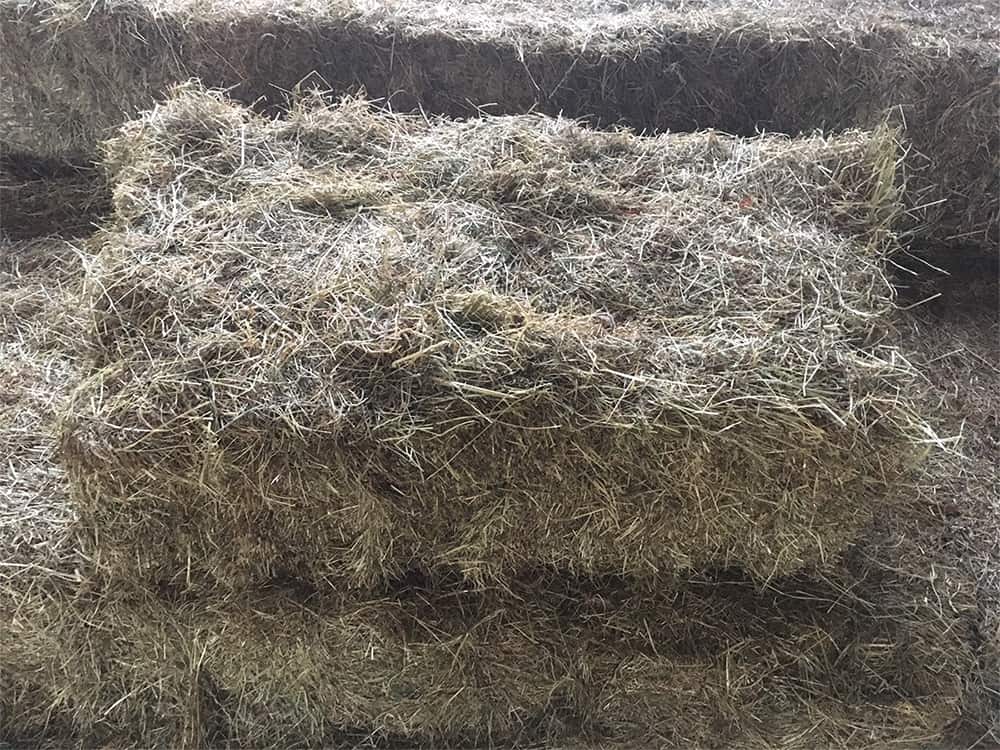 Small Bale Hay