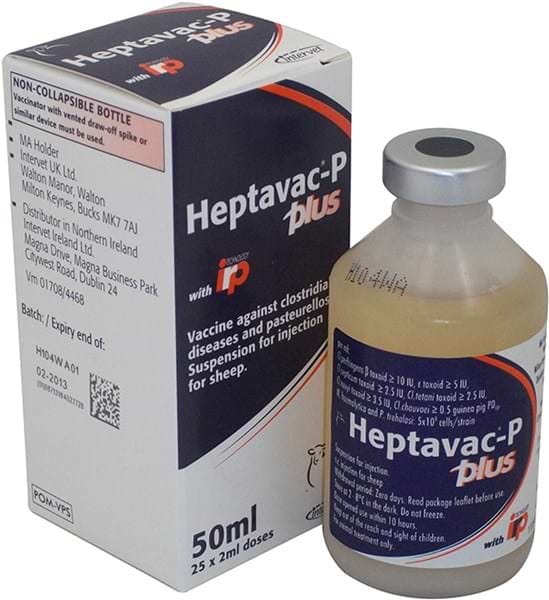 Heptavac P | Griggs Agri