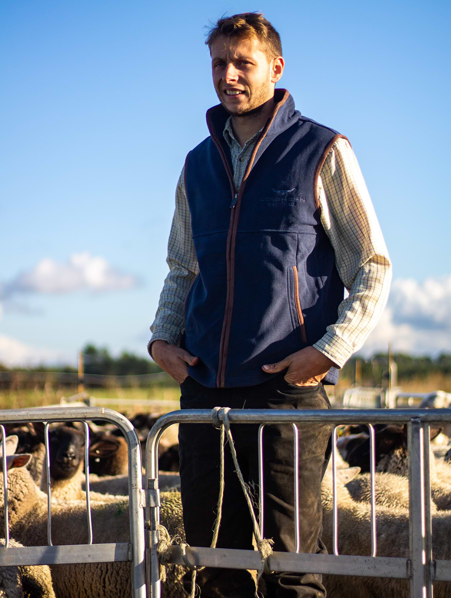Horner Shearing Longhorn Gilet Oxford Navy | Griggs Agri