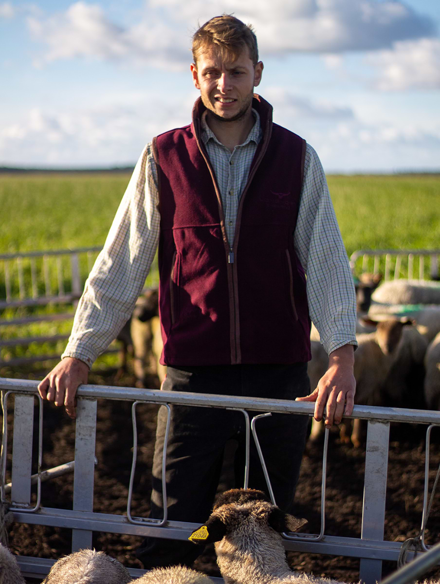 Horner Shearing Longhorn Gilet Rutland Burgundy | Griggs Agri