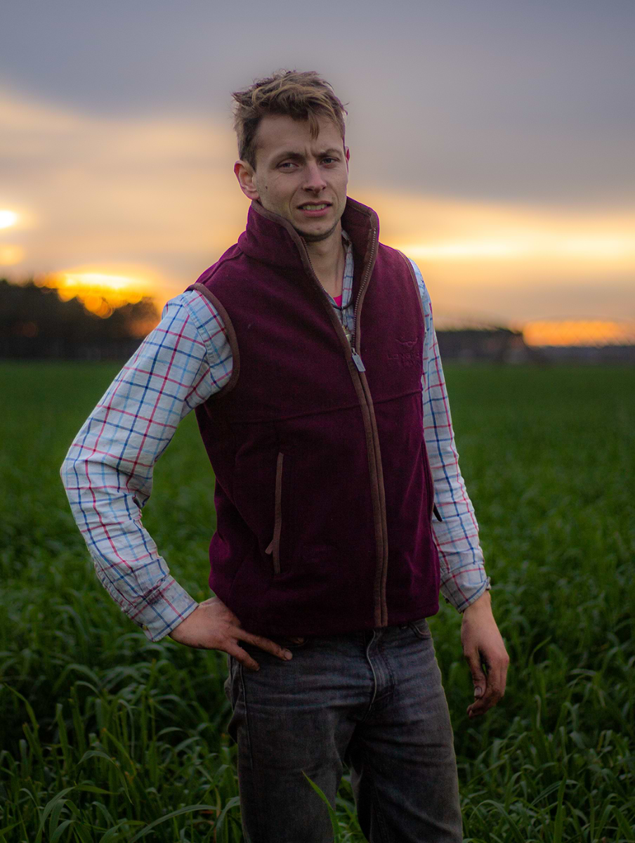 Horner Shearing Longhorn Gilet Rutland Burgundy | Griggs Agri