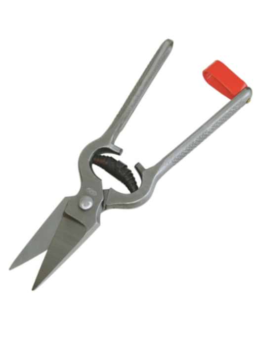 CK Hoof cutter 240mm
