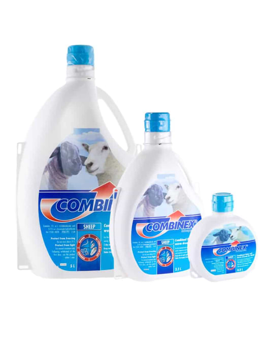 Combinex Sheep