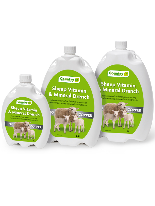 Country UF Sheep Vitamin & Mineral Drench