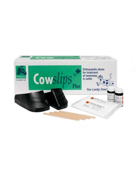 Cow Slips Plus 10PK