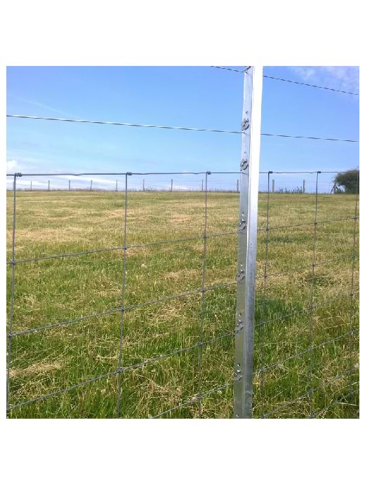 Clipex Beefy Post 2m