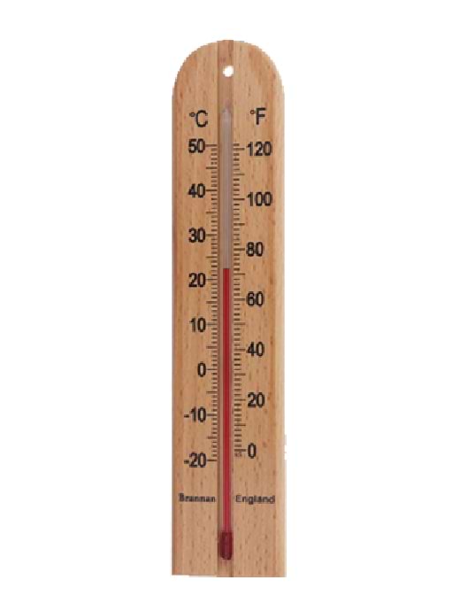 Brannan 200mm Wood Wall Thermometer 