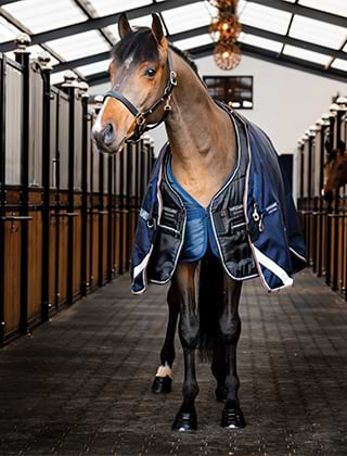 Stable & Coolers