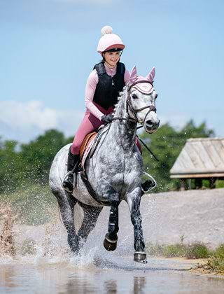 Horse Wear