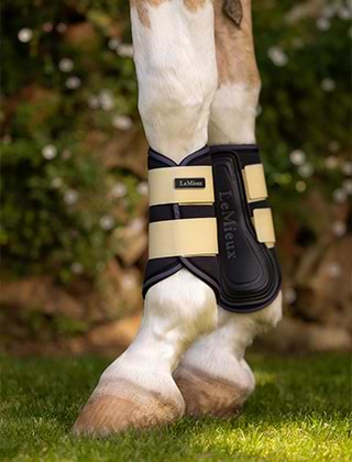 Horse Boots & Bandages