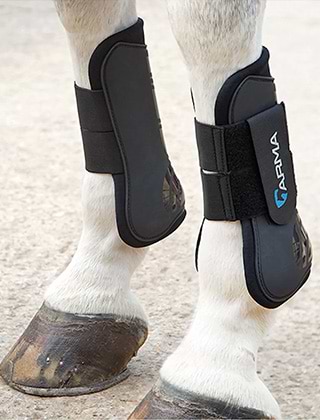 Tendon & Fetlock Tendon & Fetlock