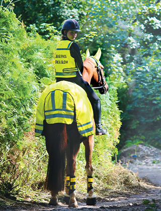 Hi Vis