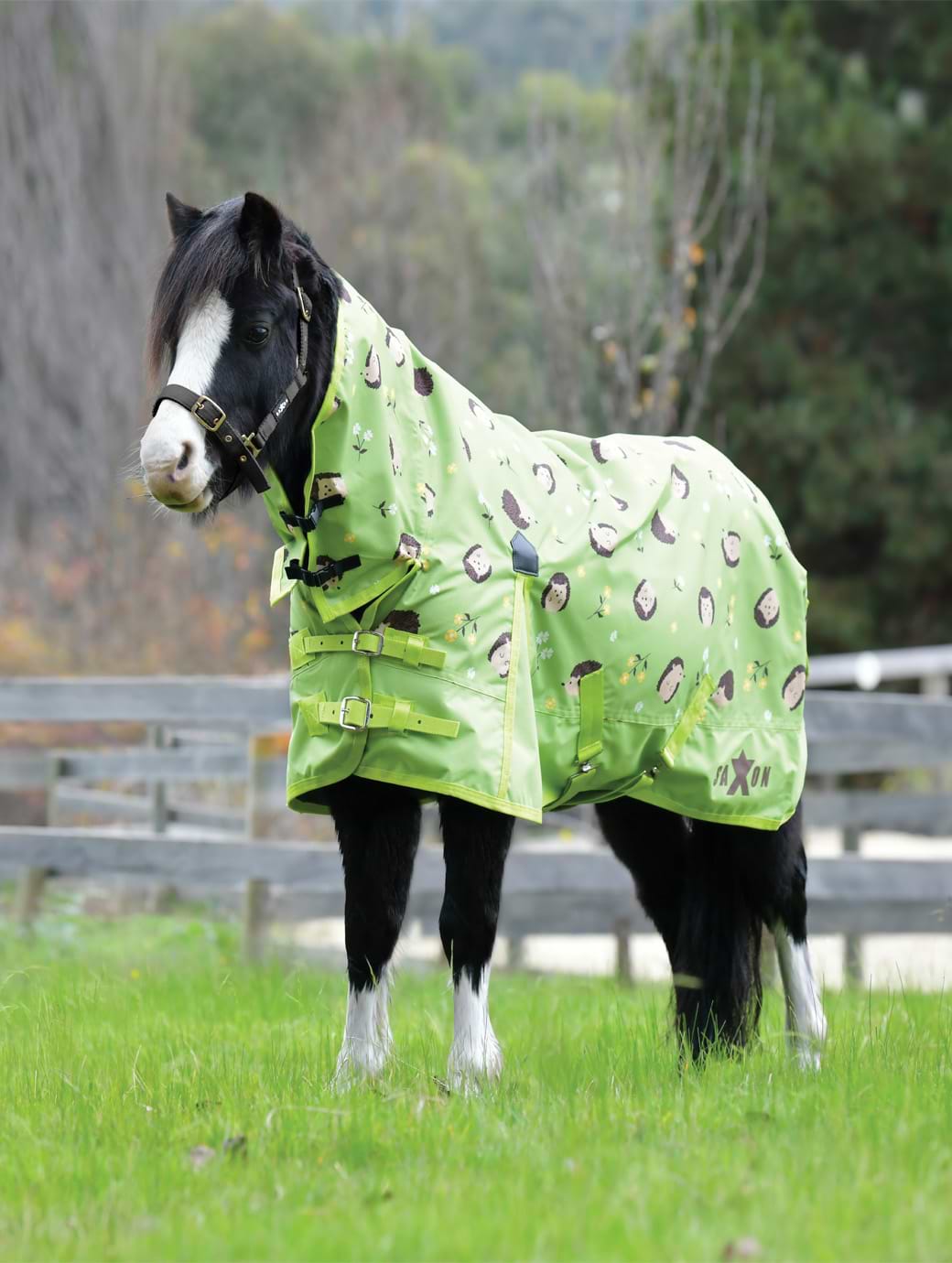 Saxon 600D Pony Combo Lite Hedgehogs & Flowers