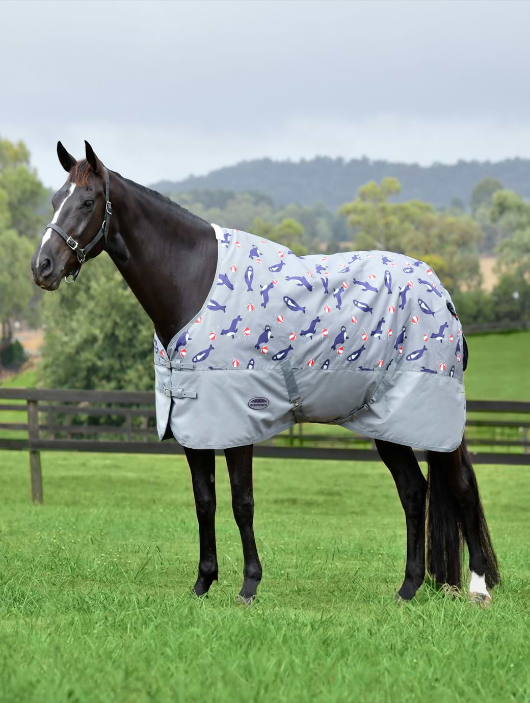 Weatherbeeta Comfitec Tyro Standard Neck Plus Lite Seal Print