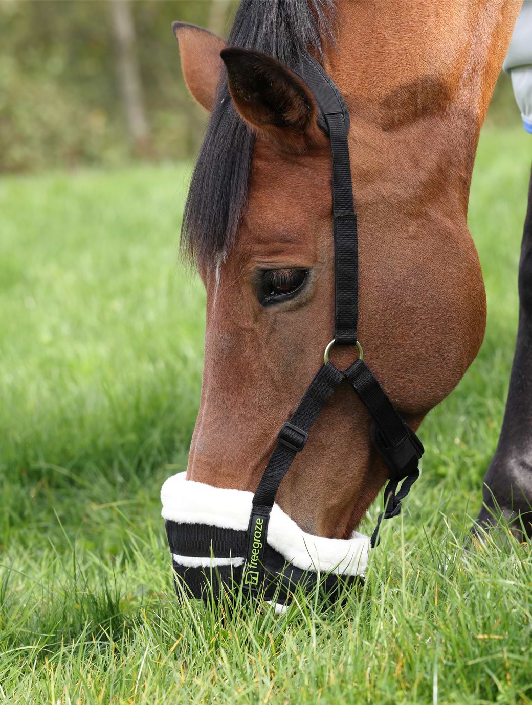 Shires Freegraze Deluxe Airflow Grazing Muzzle Black