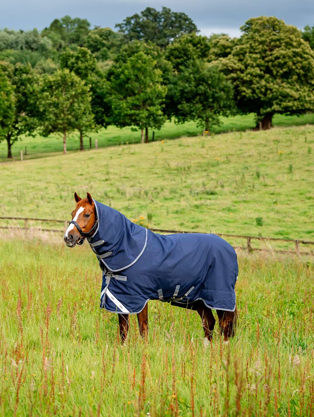 Horseware Rhino Plus Turnout 100g Navy/Titanium