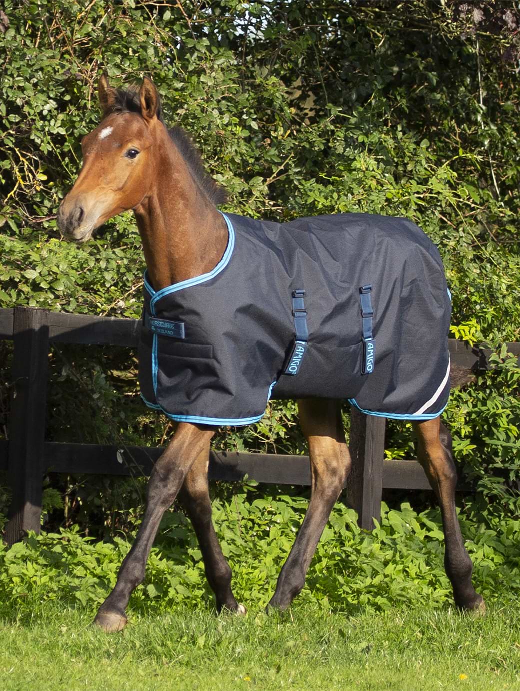 Horseware Amigo Foal Rug Ripstop 50g Navy/ Electric Blue 