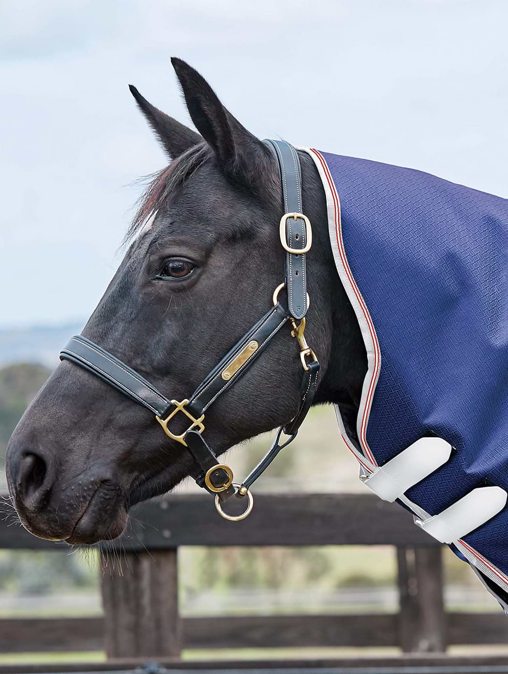 Weatherbeeta Comfitec Essential Neck Rug-Navy/Red/Silver 0g Fill