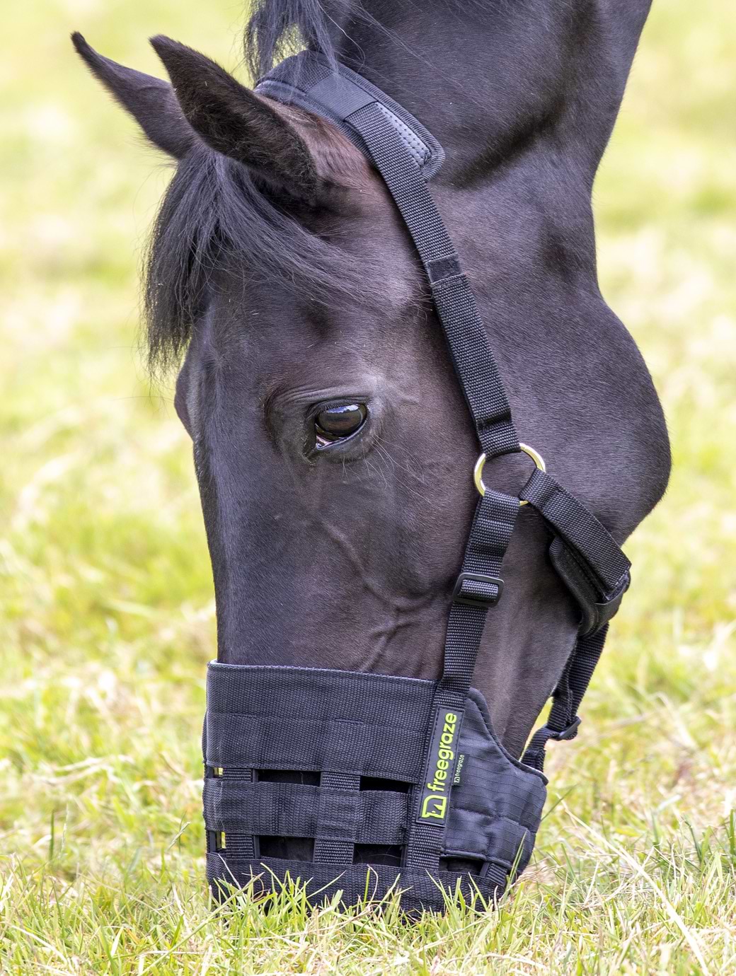 Shires Freegraze Nylon Grazing Muzzle Black