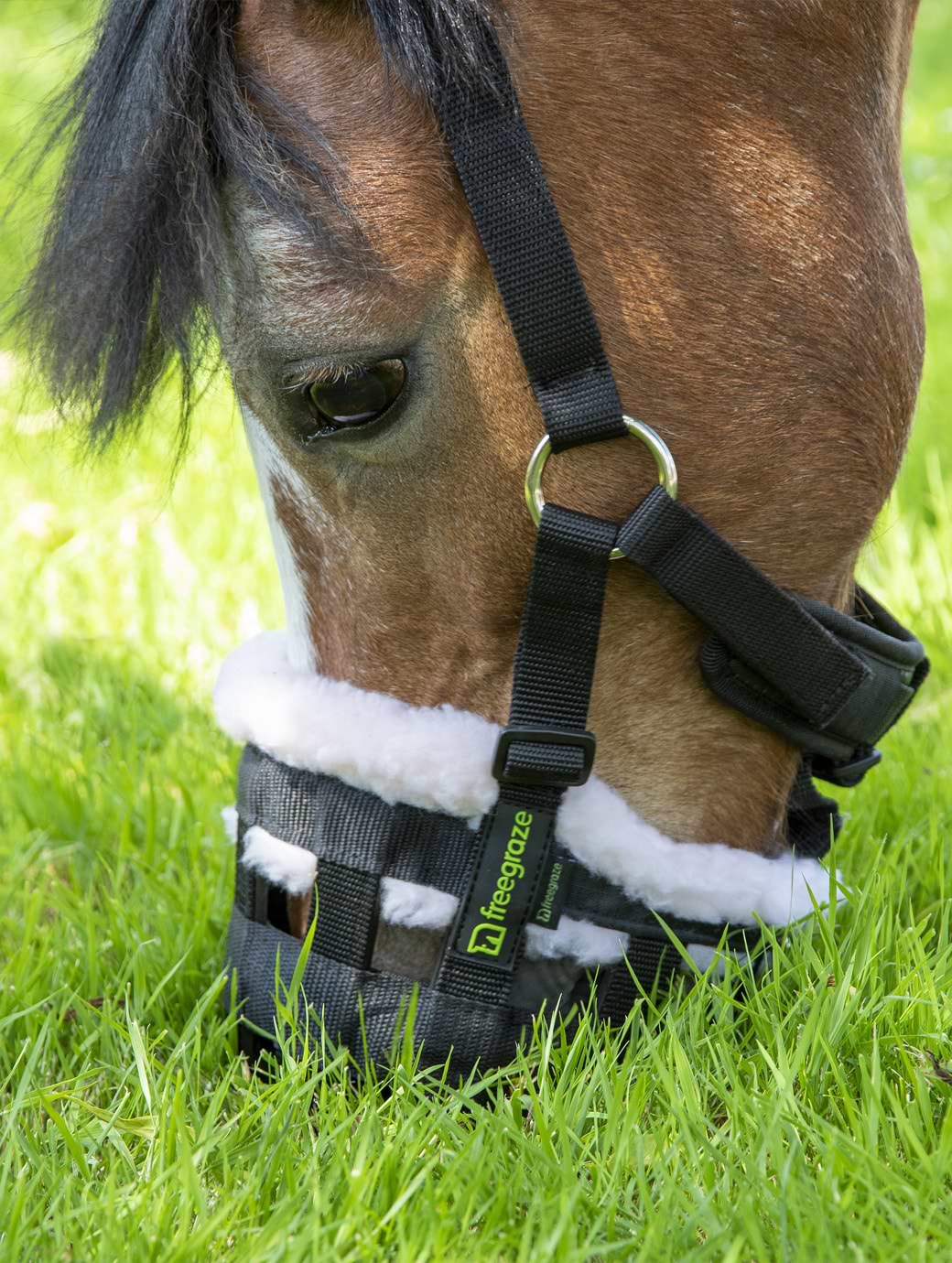 Shires Freegraze Deluxe Nylon Grazing Muzzle Black