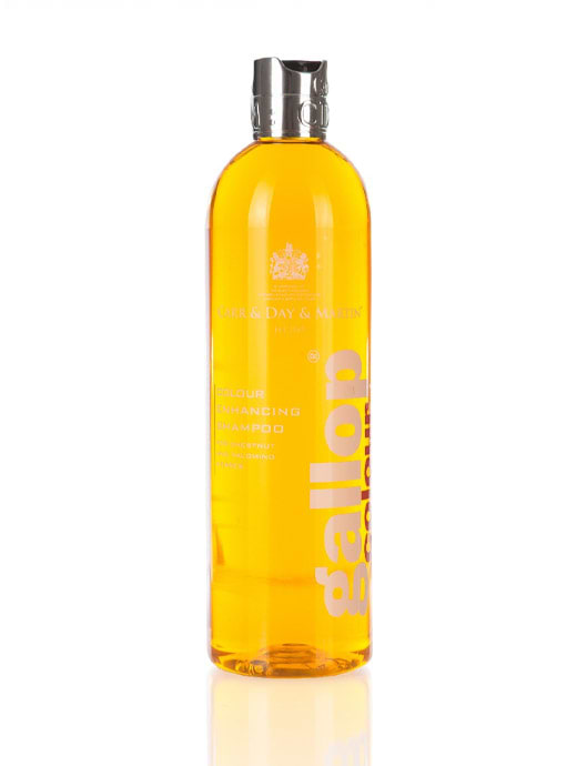 Carr & Day & Martin Gallop Colour Enhancing Chestnut Shampoo 500ml