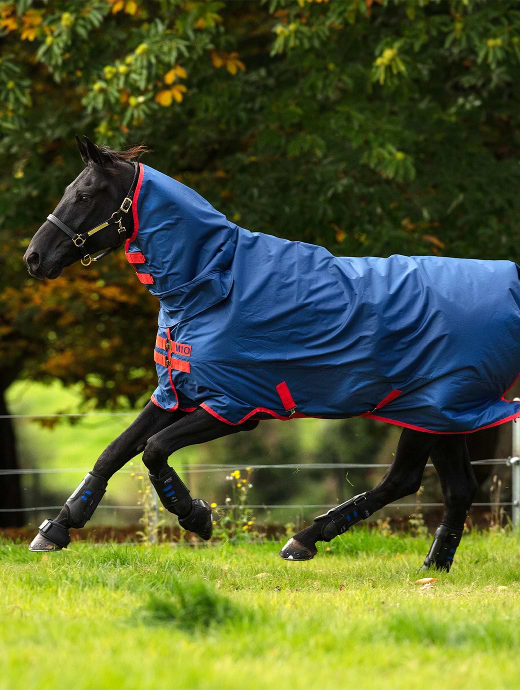 Horseware Amigo Mio All In One Lite Dark Blue 