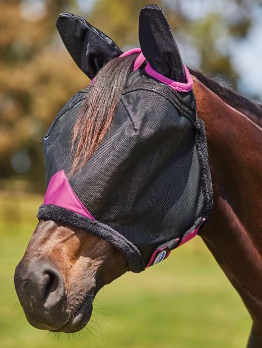 Weatherbeeta Comfitec Deluxe Durable Mesh Mash with Ears Black/Purple