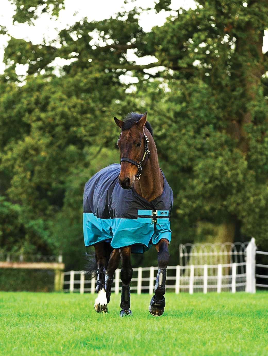 Horseware Amigo Mio Lite Black/Turquoise 