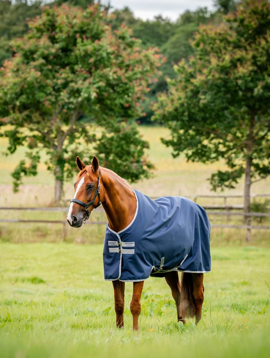Horseware Amigo Ripstop 900 Original 100g Navy/Titanium Grey 