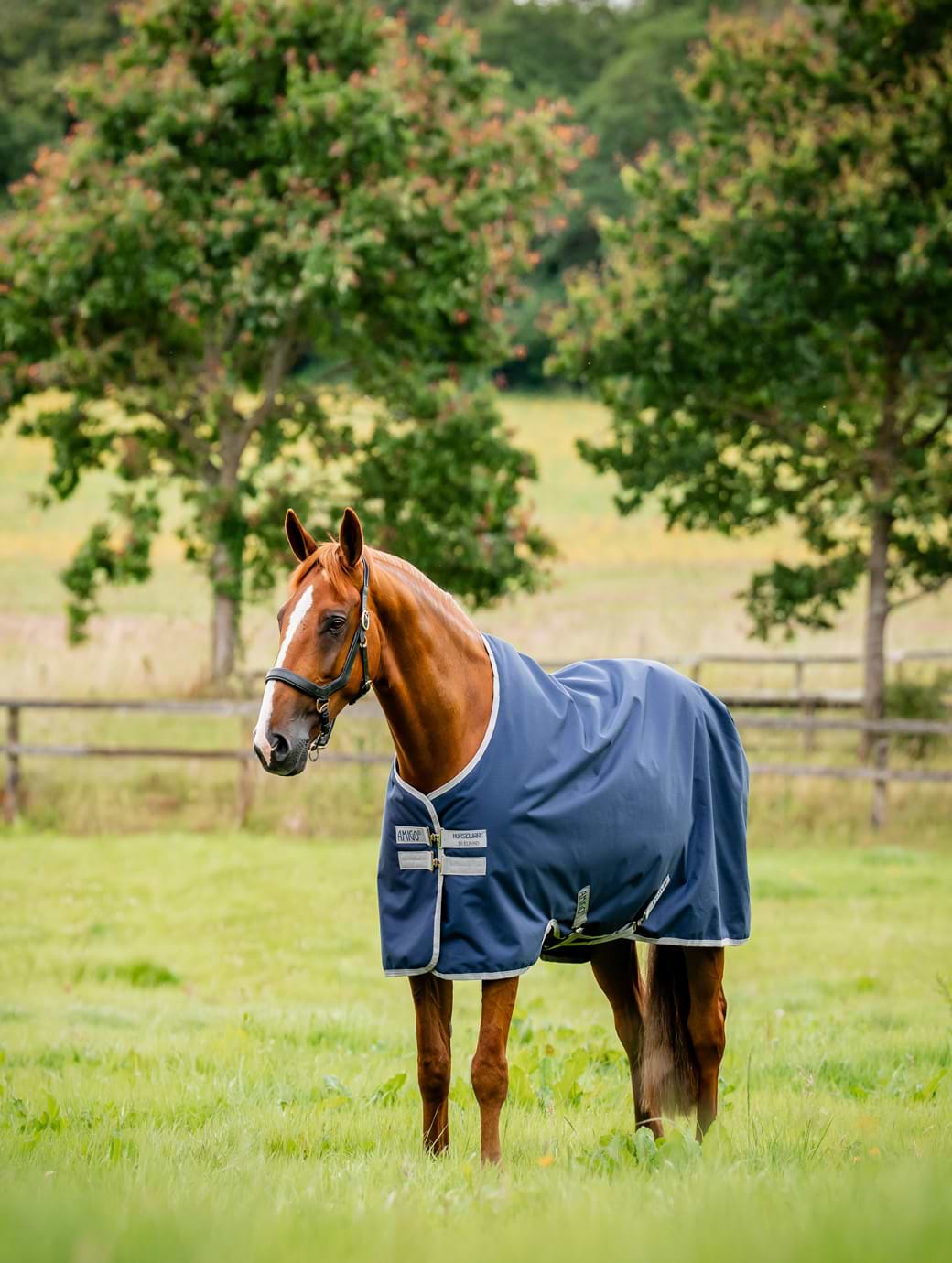 Horseware Amigo Ripstop 900 Original 50g Navy/Titanium Grey 