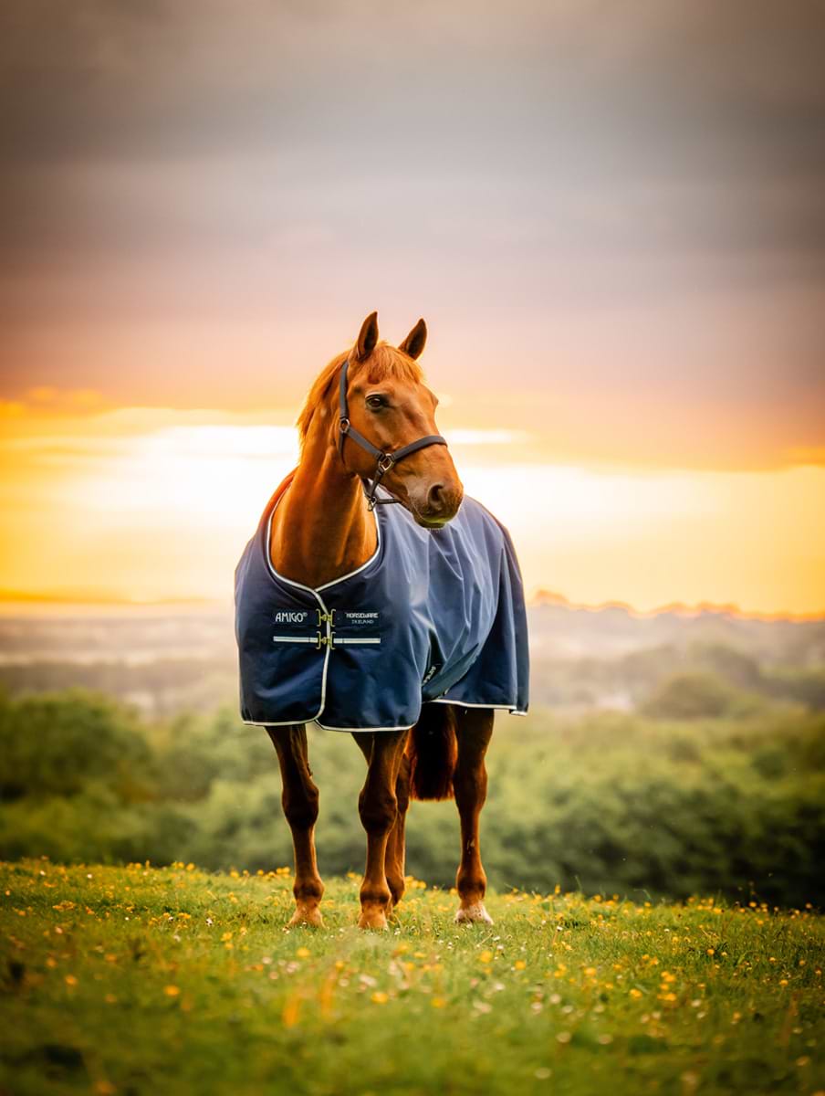 Horseware Amigo Ripstop 900D Pony Turnout 0g Whitney Navy