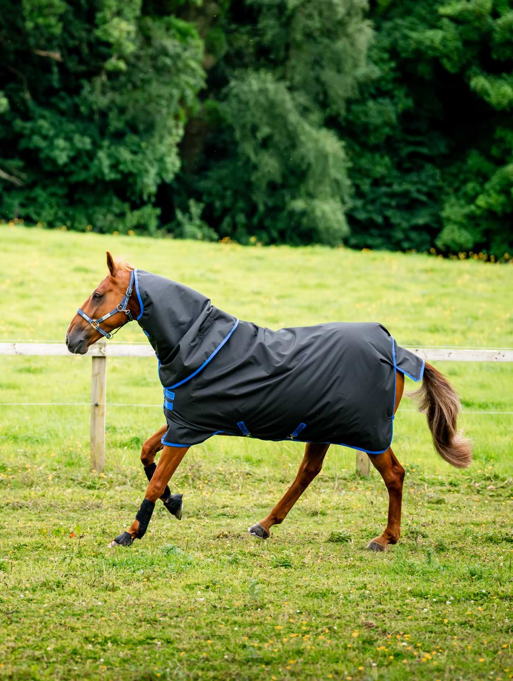 Horseware Amigo Ripstop 900 Plus 0g Black/Classic Blue 