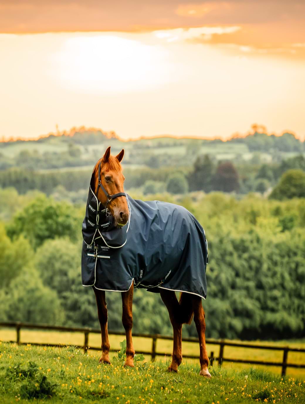 Horseware Amigo Ripstop 900D Plus Turnout 0g Whitney Navy