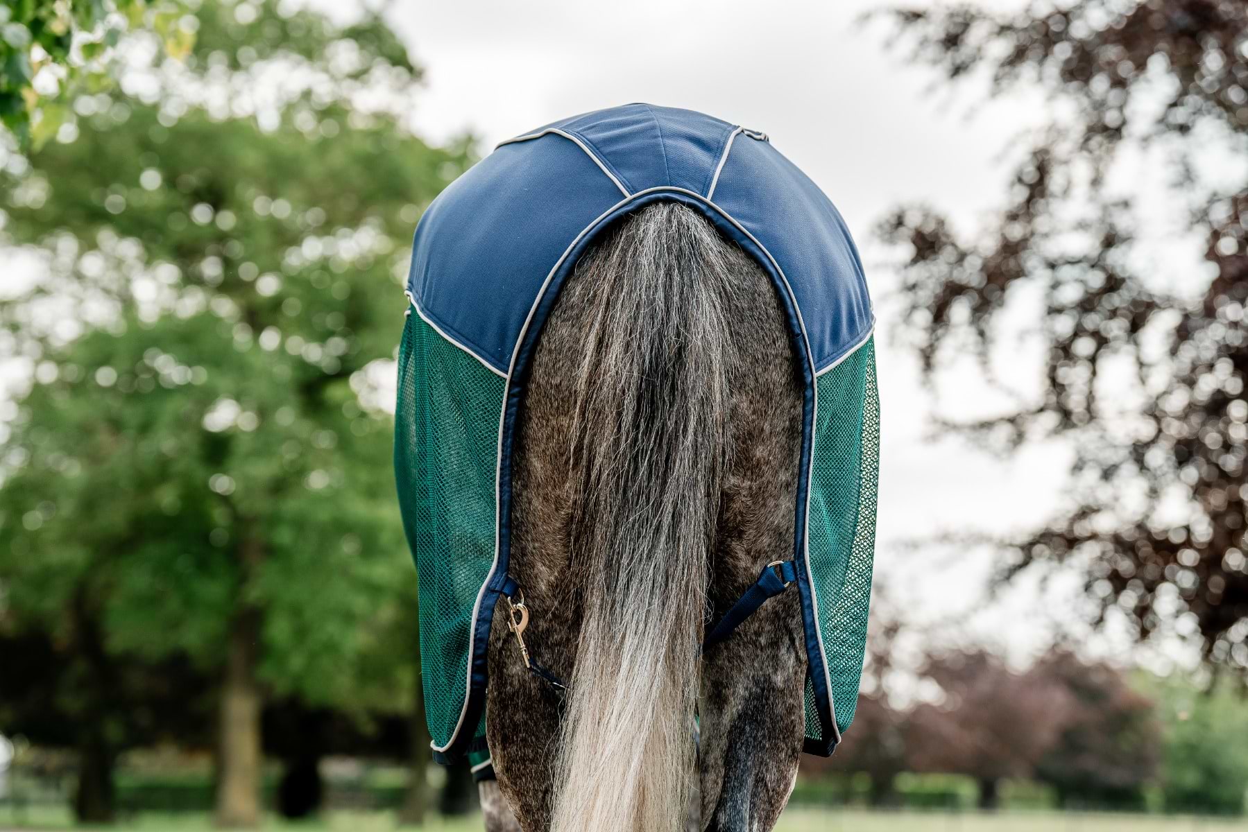 All-Season Wool Cooler - Hunter Green  88 X 94  Oversized To Fit All Horses Speeds Drying After Baths And Gradual Cooling After Exercise