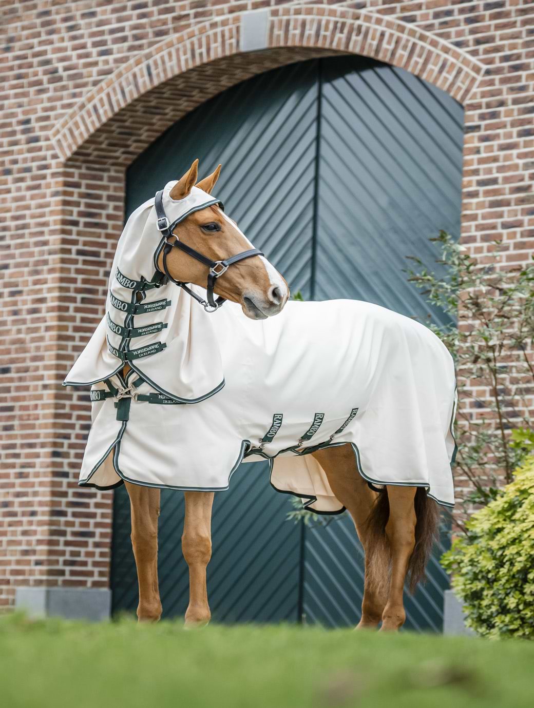 Horseware Rambo Hoody Chalk/Hunter Green & Silver