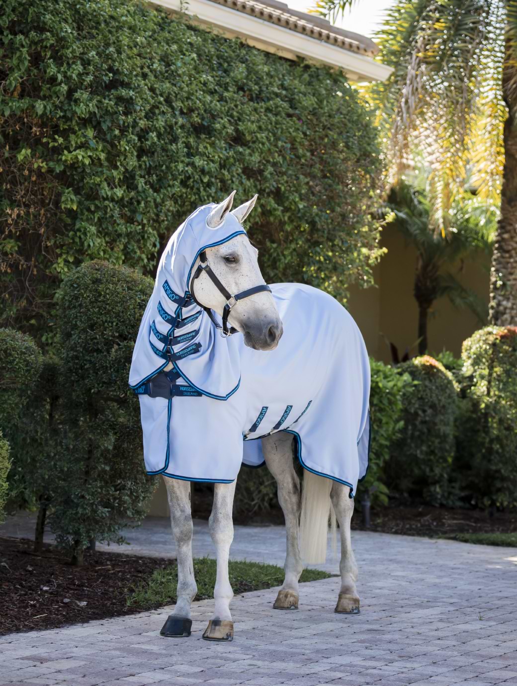 Horseware Amigo Ripstop Pony Hoody Azure Blue/Navy & Electric Blue