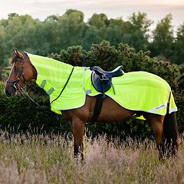 Flyrider Horseware Amigo Flyrider Navy/Silver | Griggs Equestrian