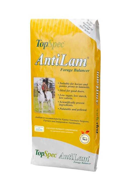 Topspec AntiLam (Store Collection Only)